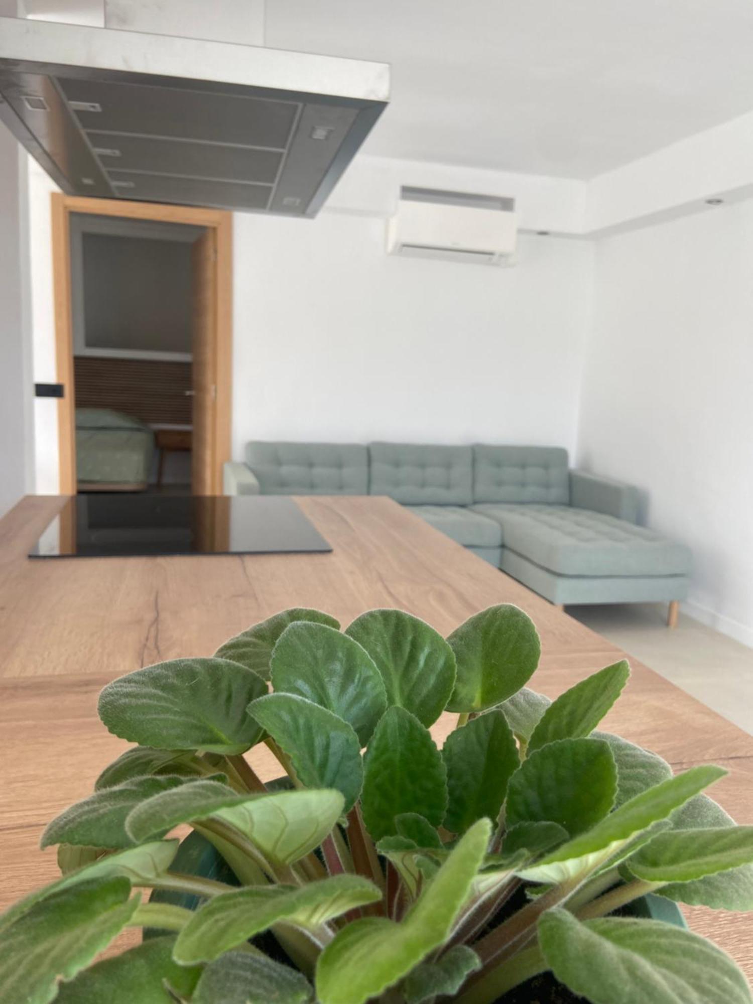 Appartement Eco Del Mar